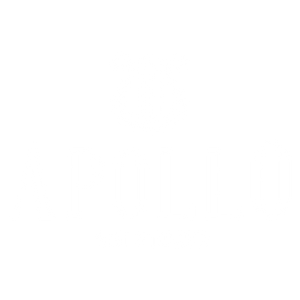 Apollo Art Studio